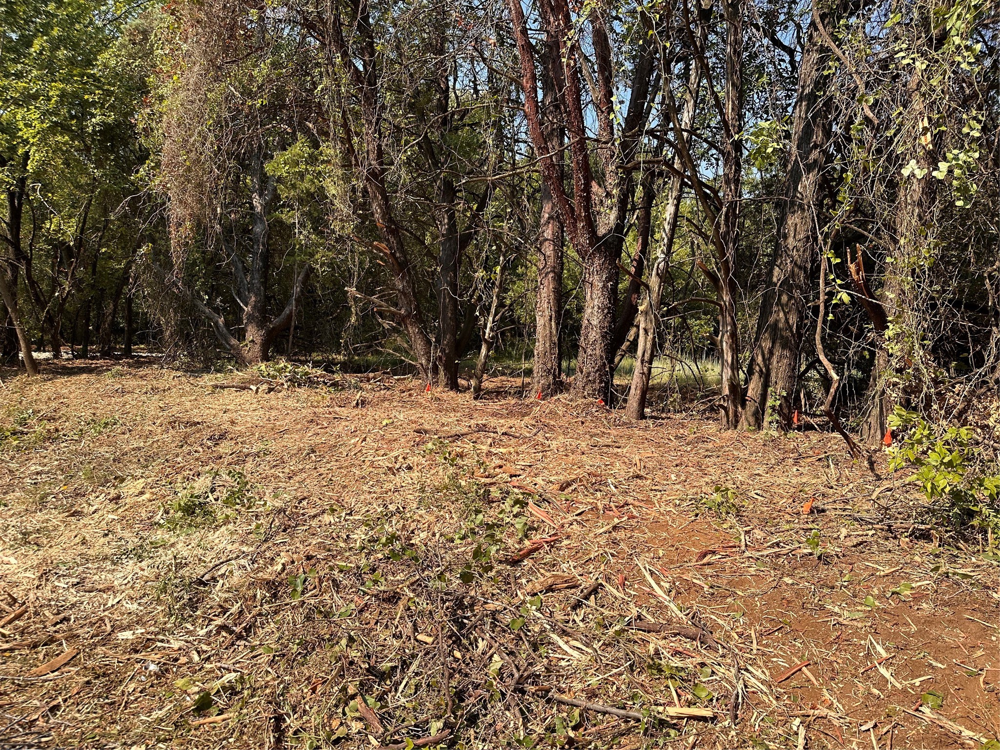 402 S Shady Shores Road Shady Shores TX 76208