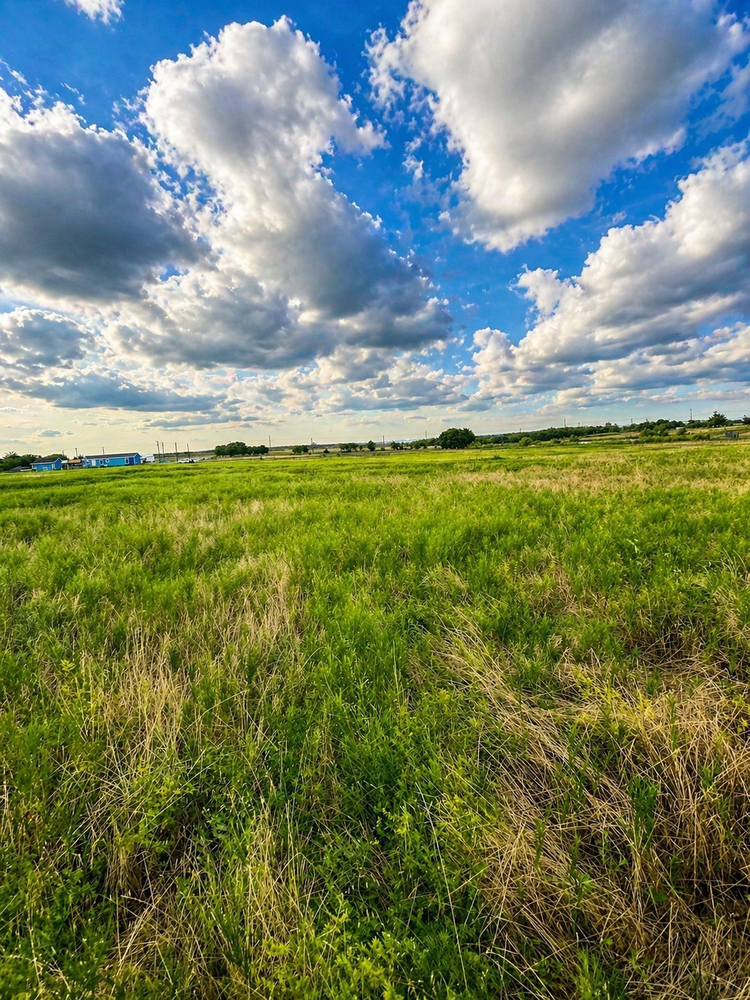 Lot 15 Old Sandborn Ranch Road Whitesboro TX 76268