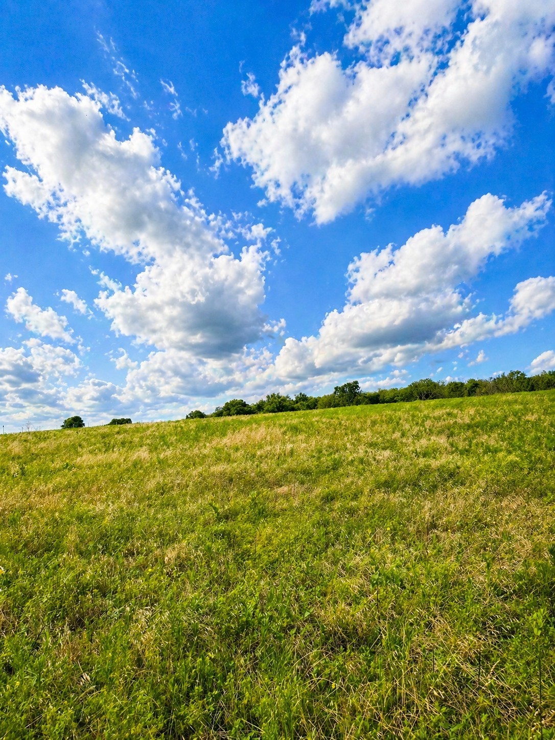 Lot 15 Old Sandborn Ranch Road Whitesboro TX 76268