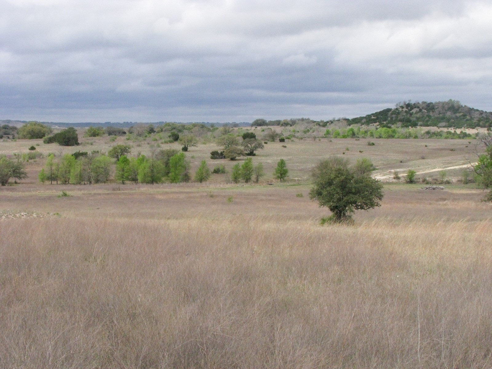 3485 County Road 530 Evant TX 76525