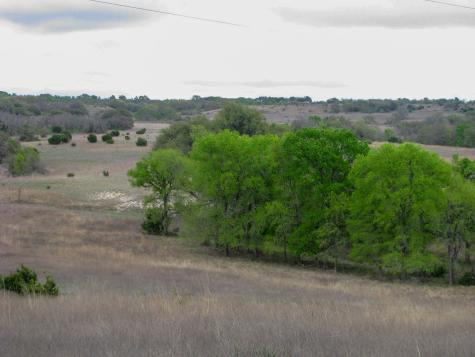 3485 County Road 530 Evant TX 76525