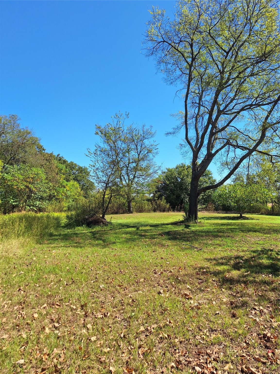 Lot 24 Simms Street Sulphur Springs TX 75482