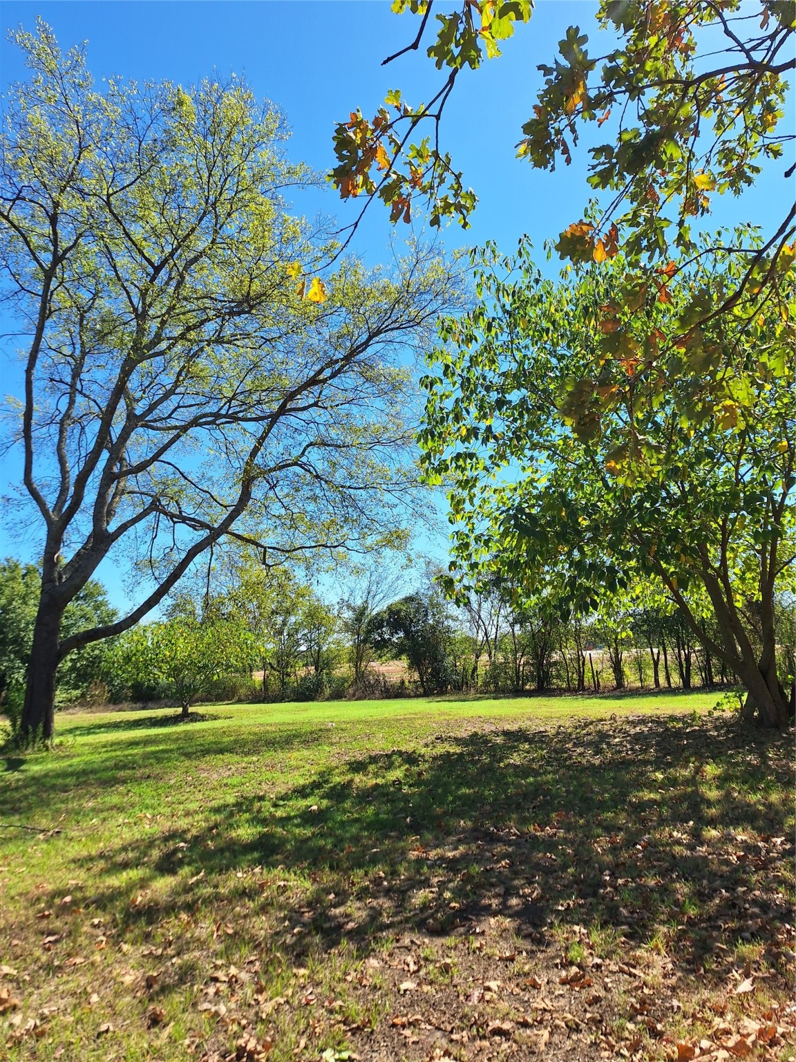 Lot 24 Simms Street Sulphur Springs TX 75482
