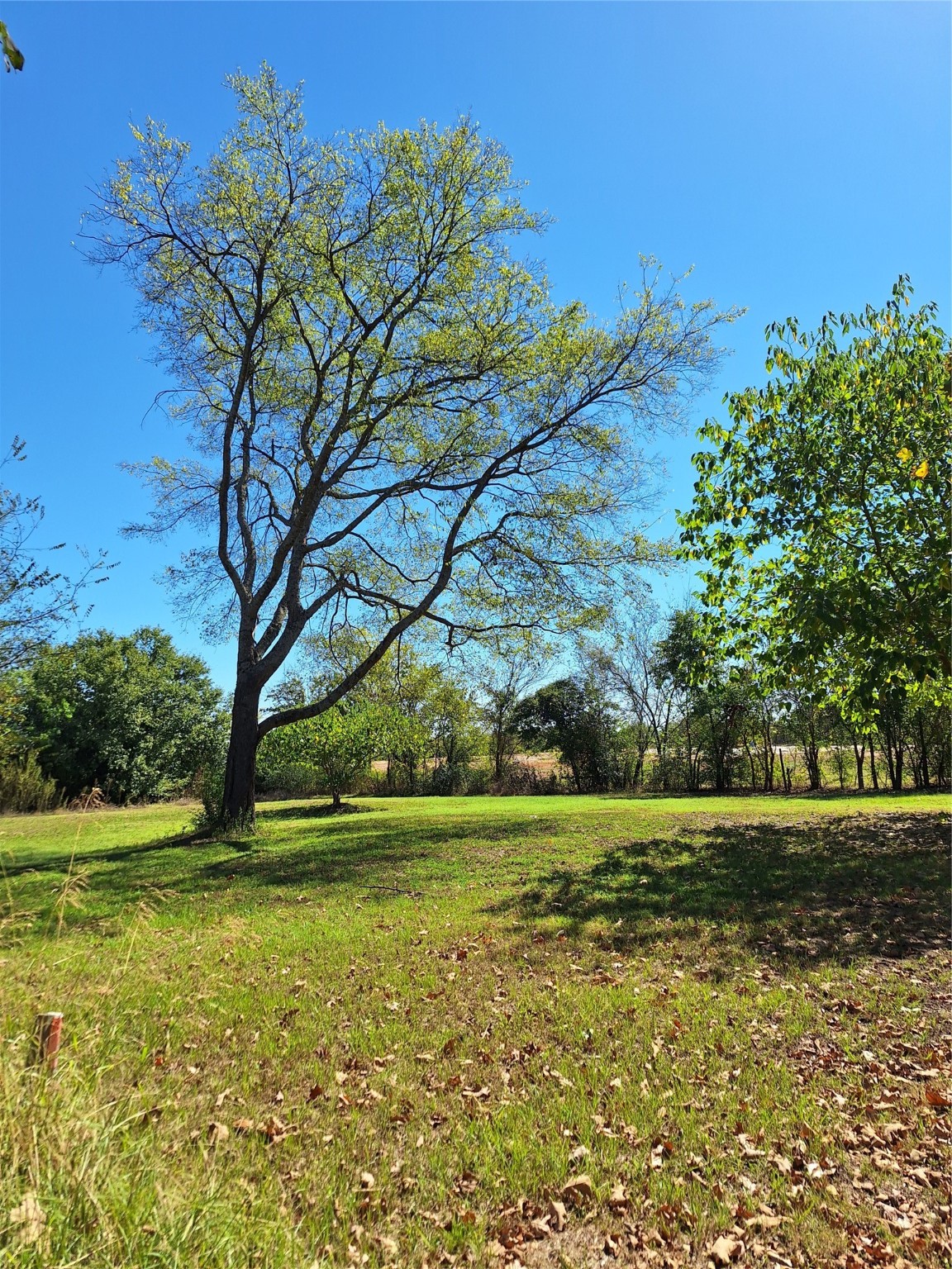 Lot 24 Simms Street Sulphur Springs TX 75482