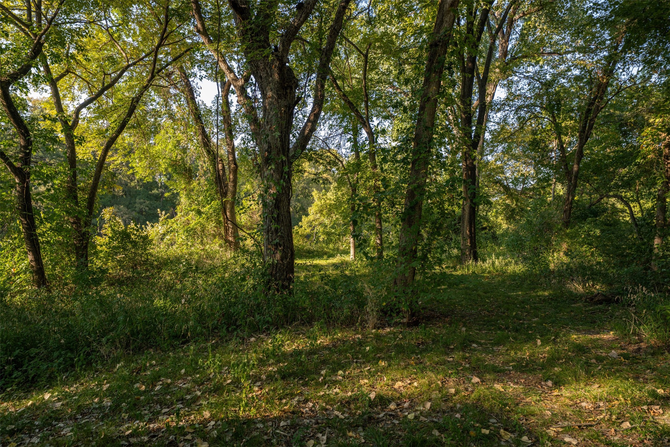 2031 Green Oaks Boulevard Arlington TX 76006