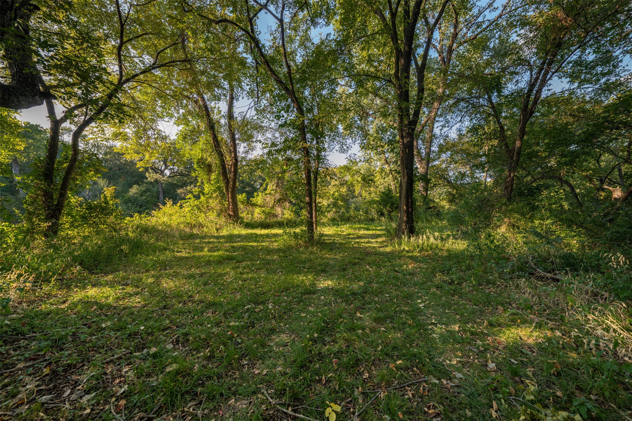 2031 Green Oaks Boulevard Arlington TX 76006