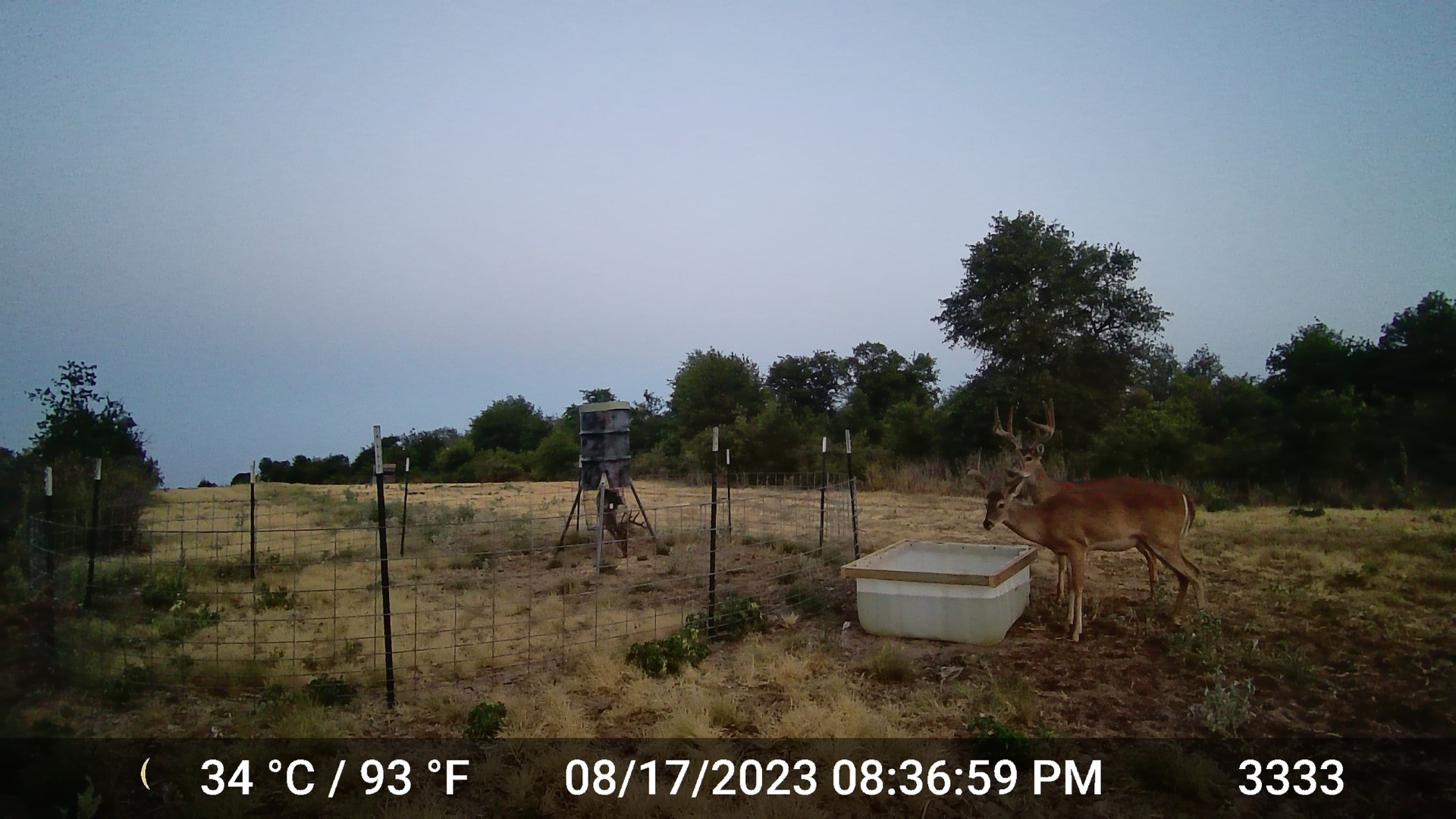 11653 Fm 1226 Parcel C Hawley TX 79525
