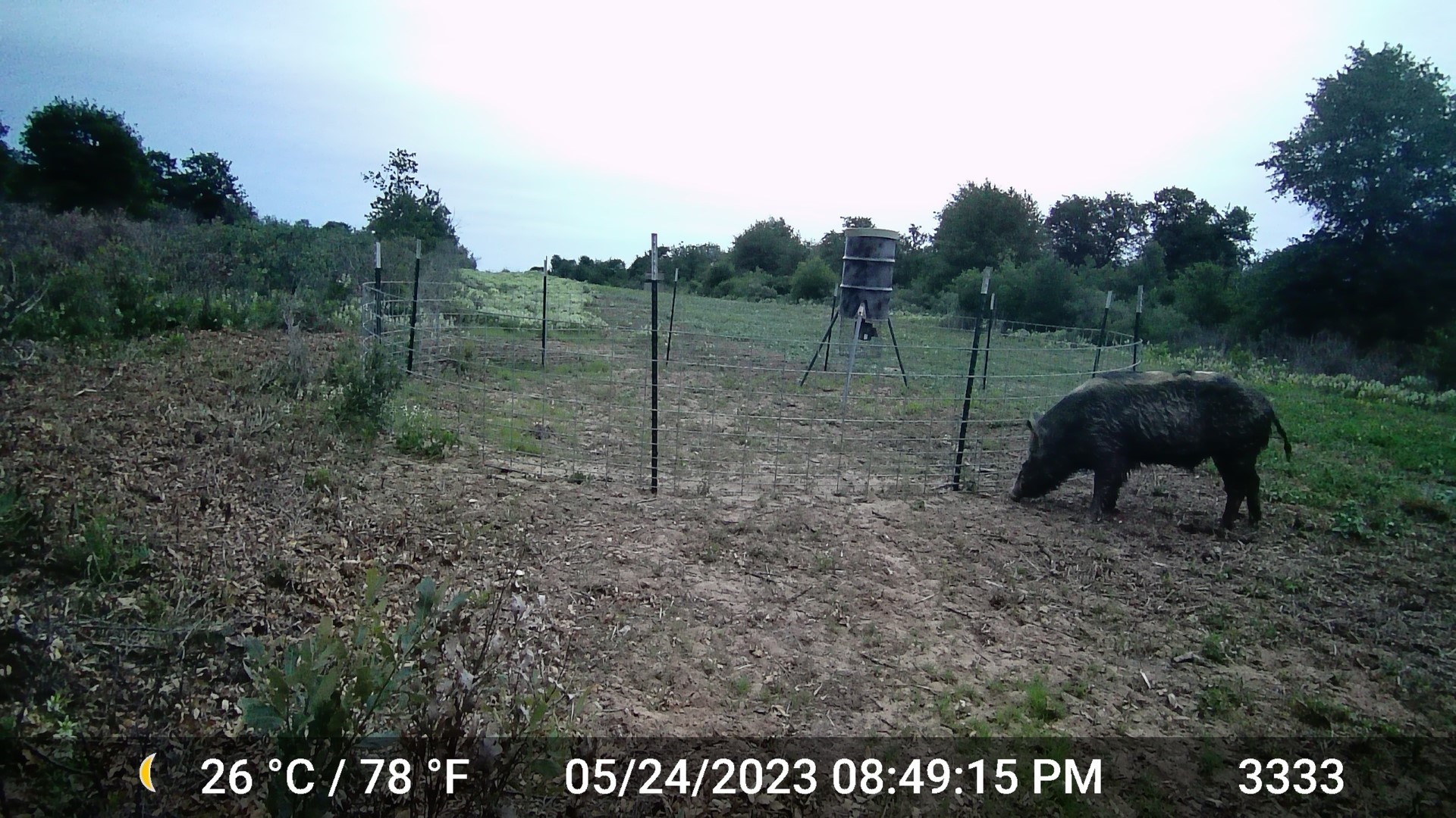11653 Fm 1226 Parcel C Hawley TX 79525