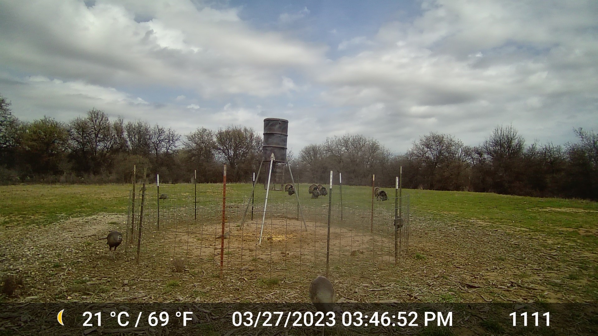 11653 Fm 1226 Parcel C Hawley TX 79525