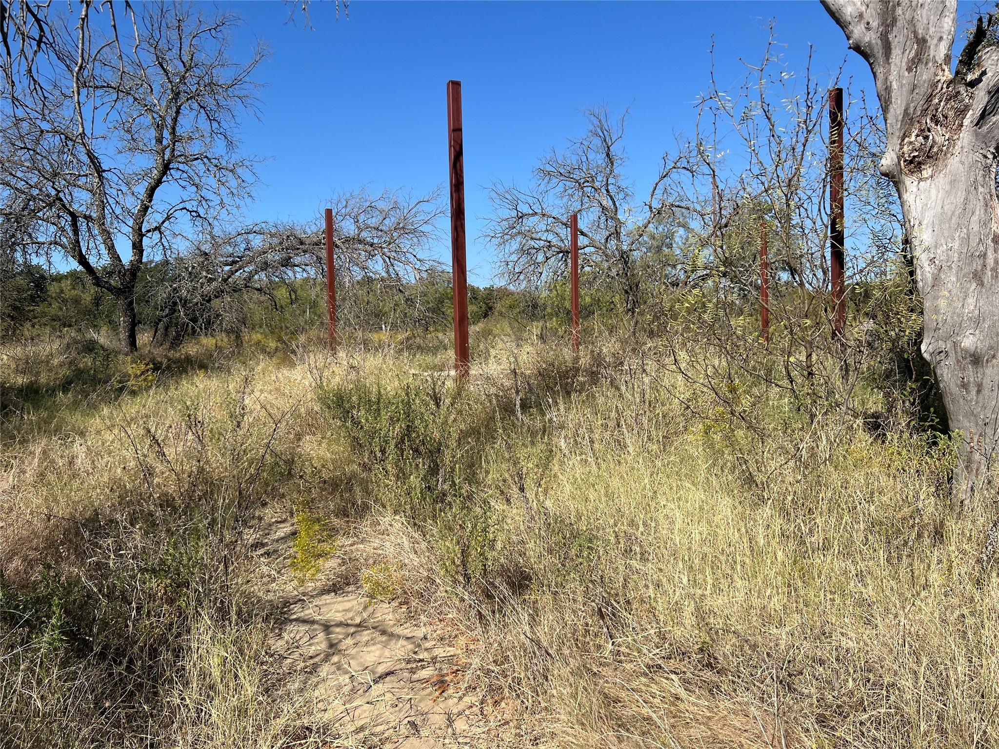 Tbd Wild Hill Oak Drive Springtown TX 76082