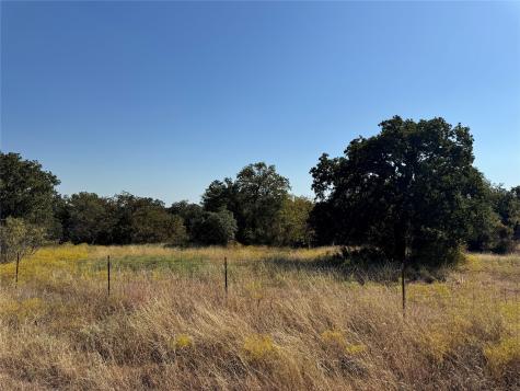 Tbd Wild Hill Oak Drive Springtown TX 76082