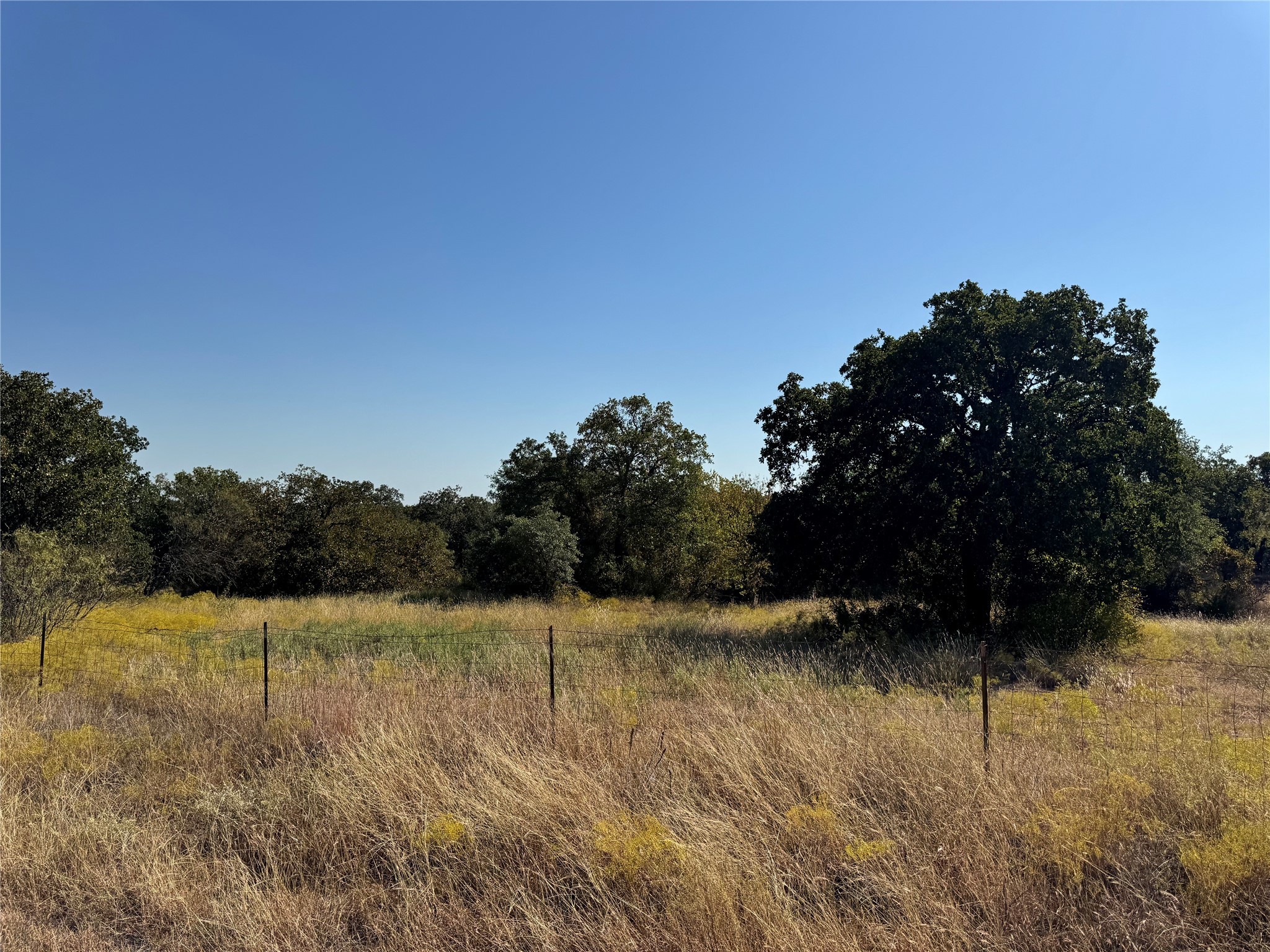 Tbd Wild Hill Oak Drive Springtown TX 76082