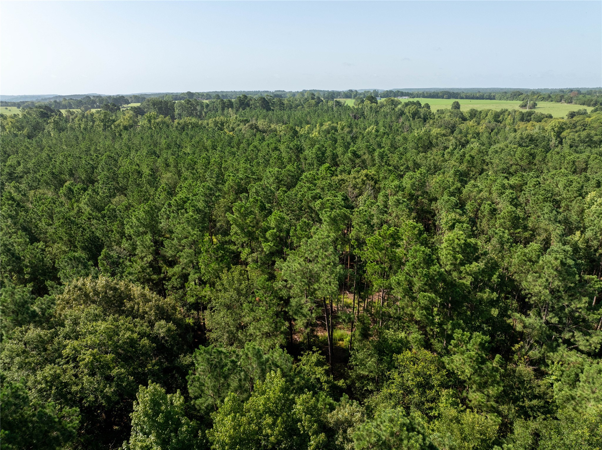 NW County Road 1713 Jacksonville TX 75766