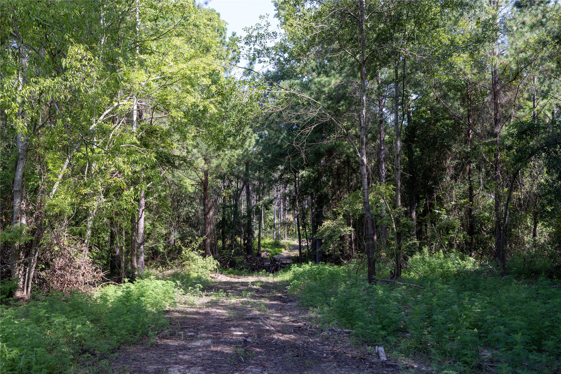 NW County Road 1713 Jacksonville TX 75766