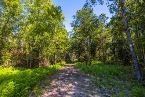 NW County Road 1713 Jacksonville TX 75766