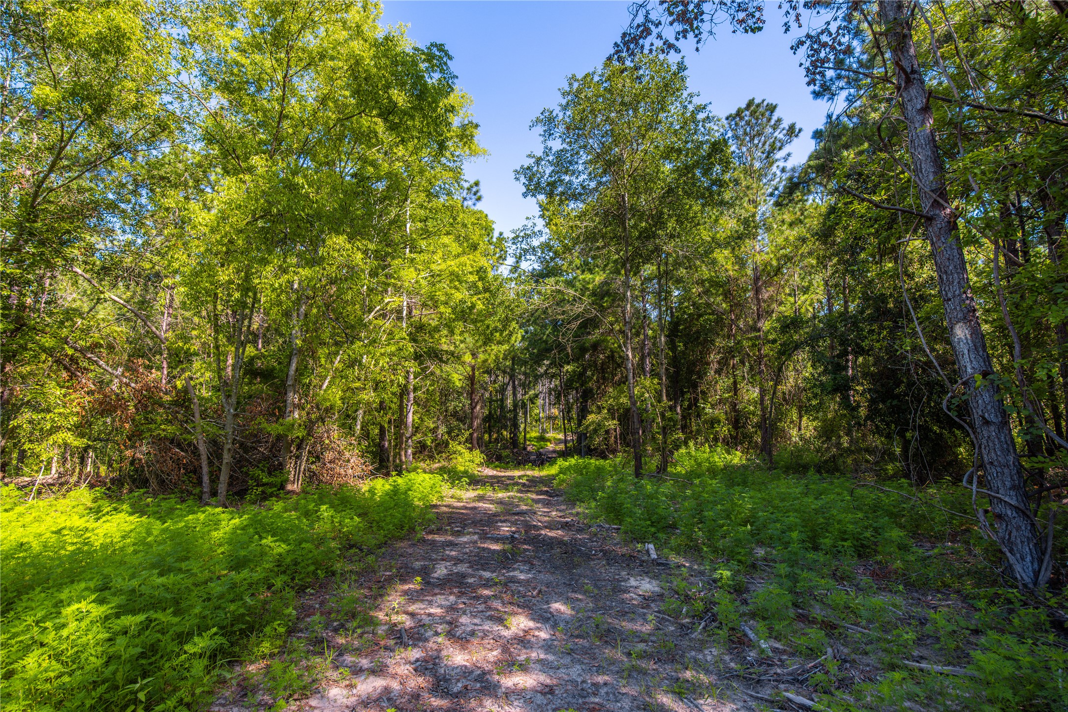 NW County Road 1713 Jacksonville TX 75766