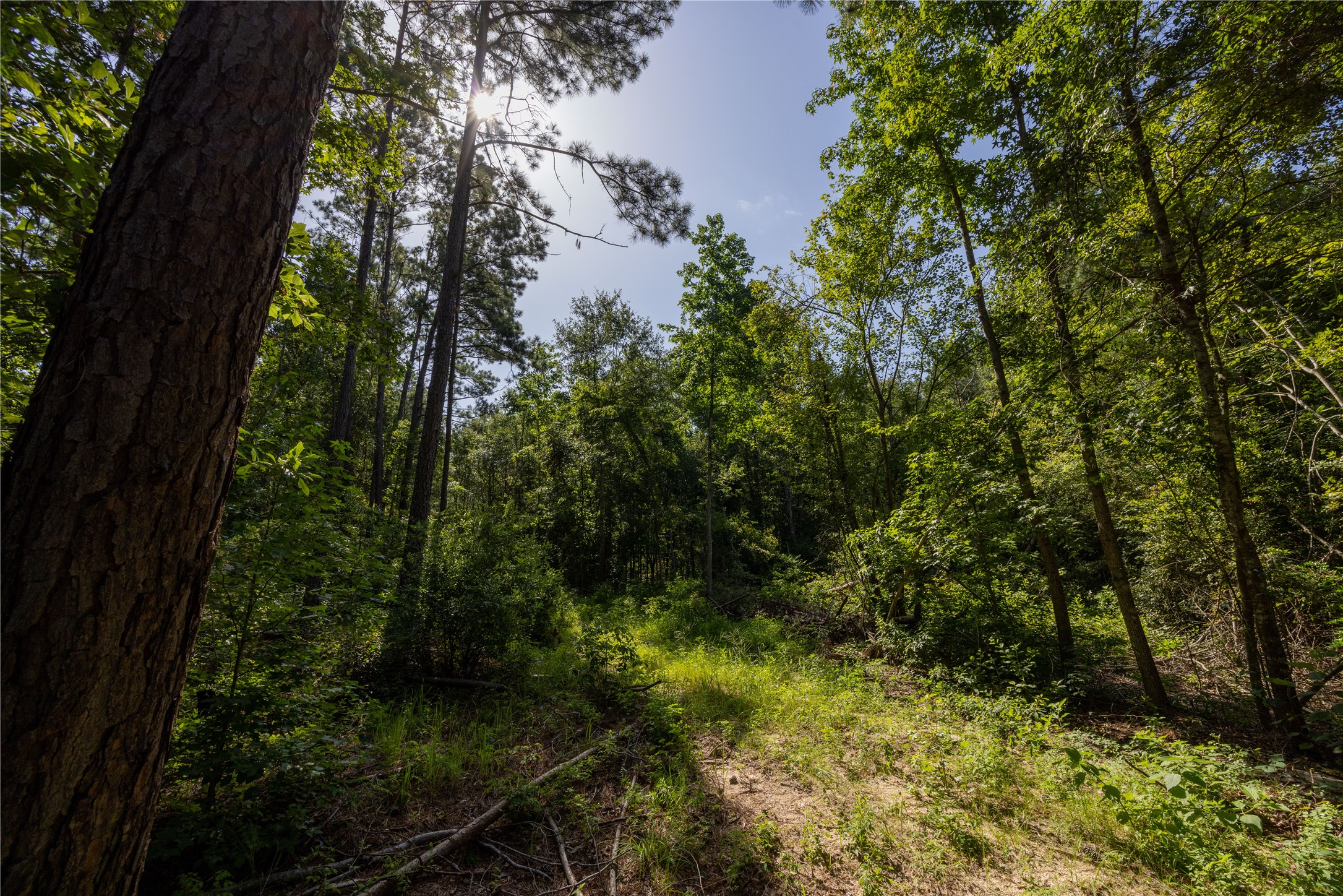 NW County Road 1713 Jacksonville TX 75766