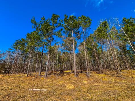 NW County Road 1713 Jacksonville TX 75766