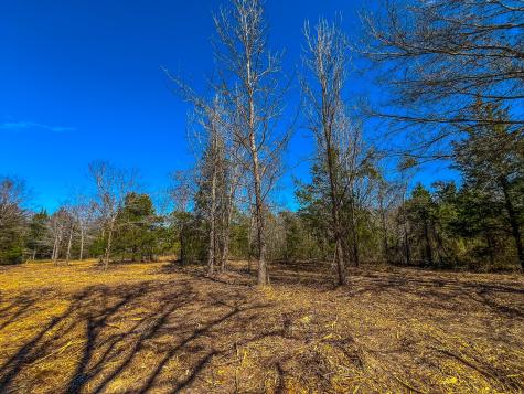 NW County Road 1713 Jacksonville TX 75766