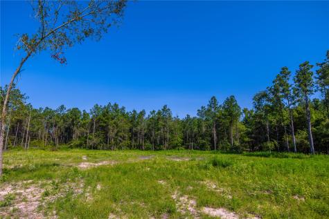 NW County Road 1713 Jacksonville TX 75766