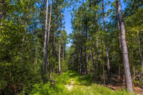 NW County Road 1713 Jacksonville TX 75766