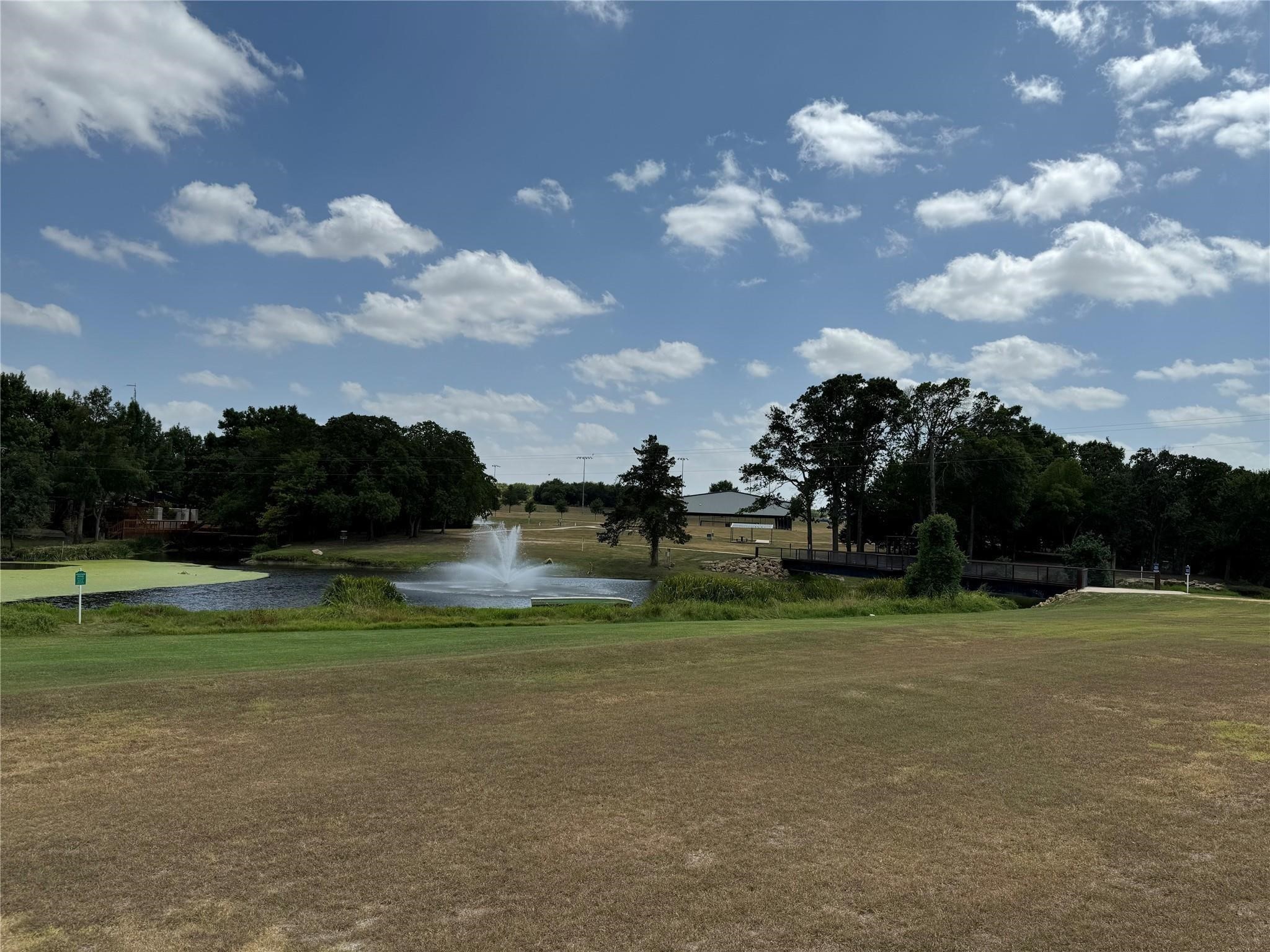Lot 8 Cedar Springs Drive Decatur TX 76234