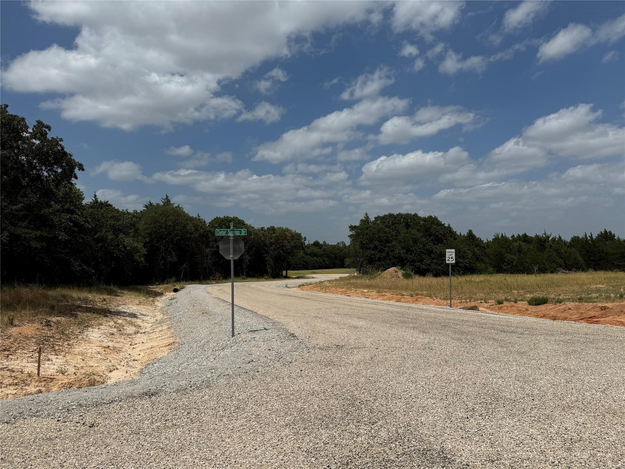 Lot 8 Cedar Springs Drive Decatur TX 76234