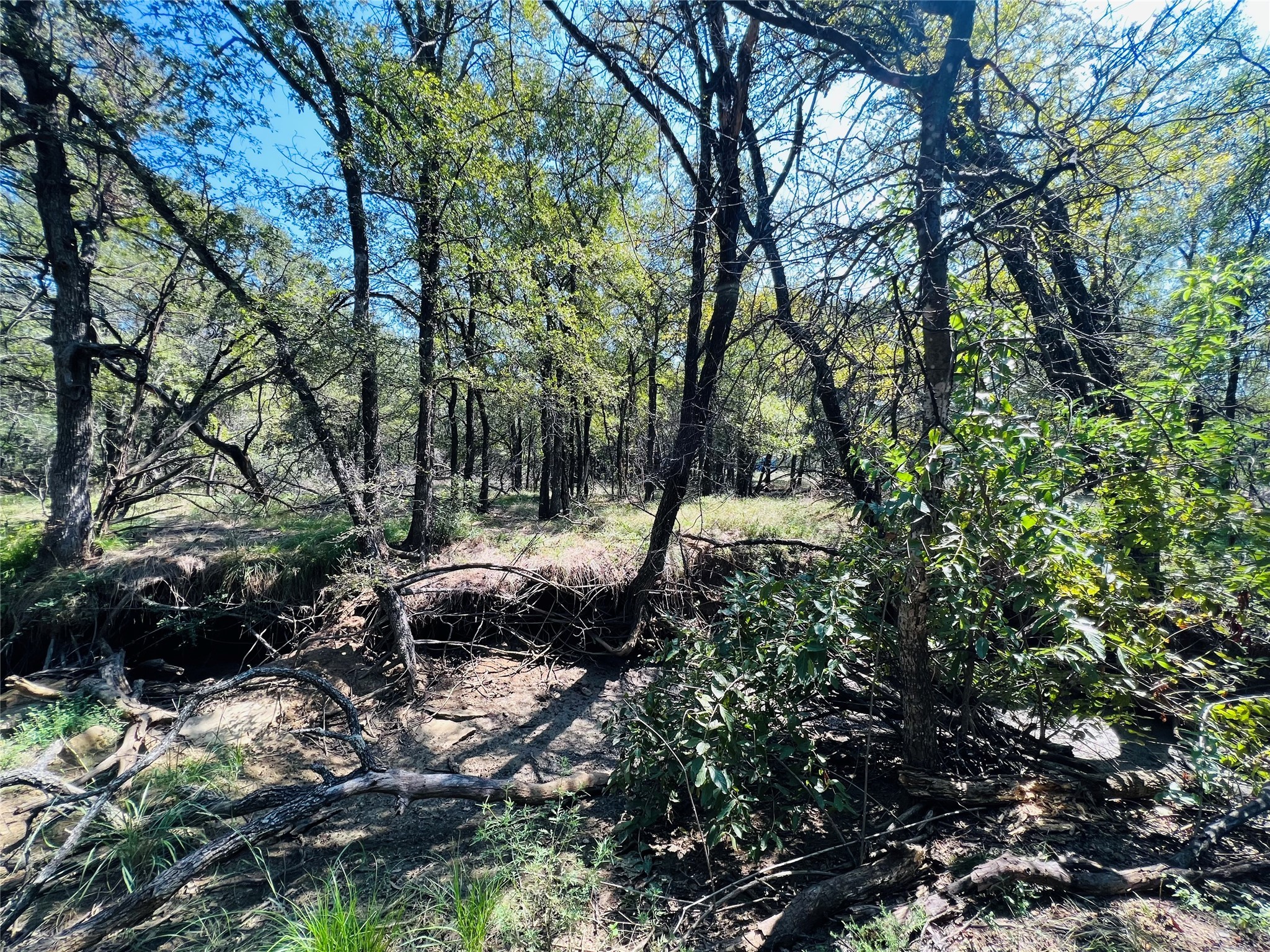 20 Ih Santo TX 76472