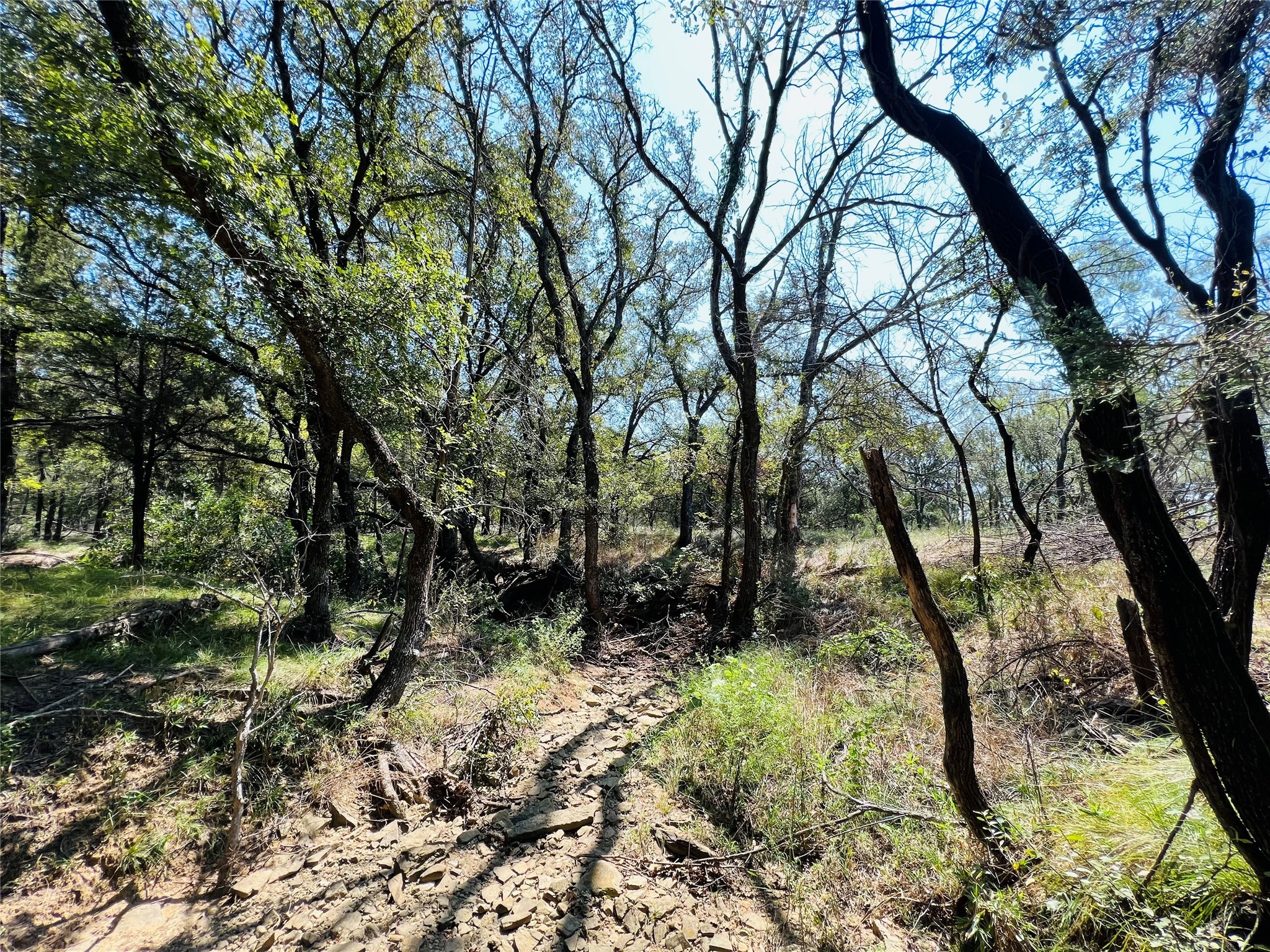 20 Ih Santo TX 76472