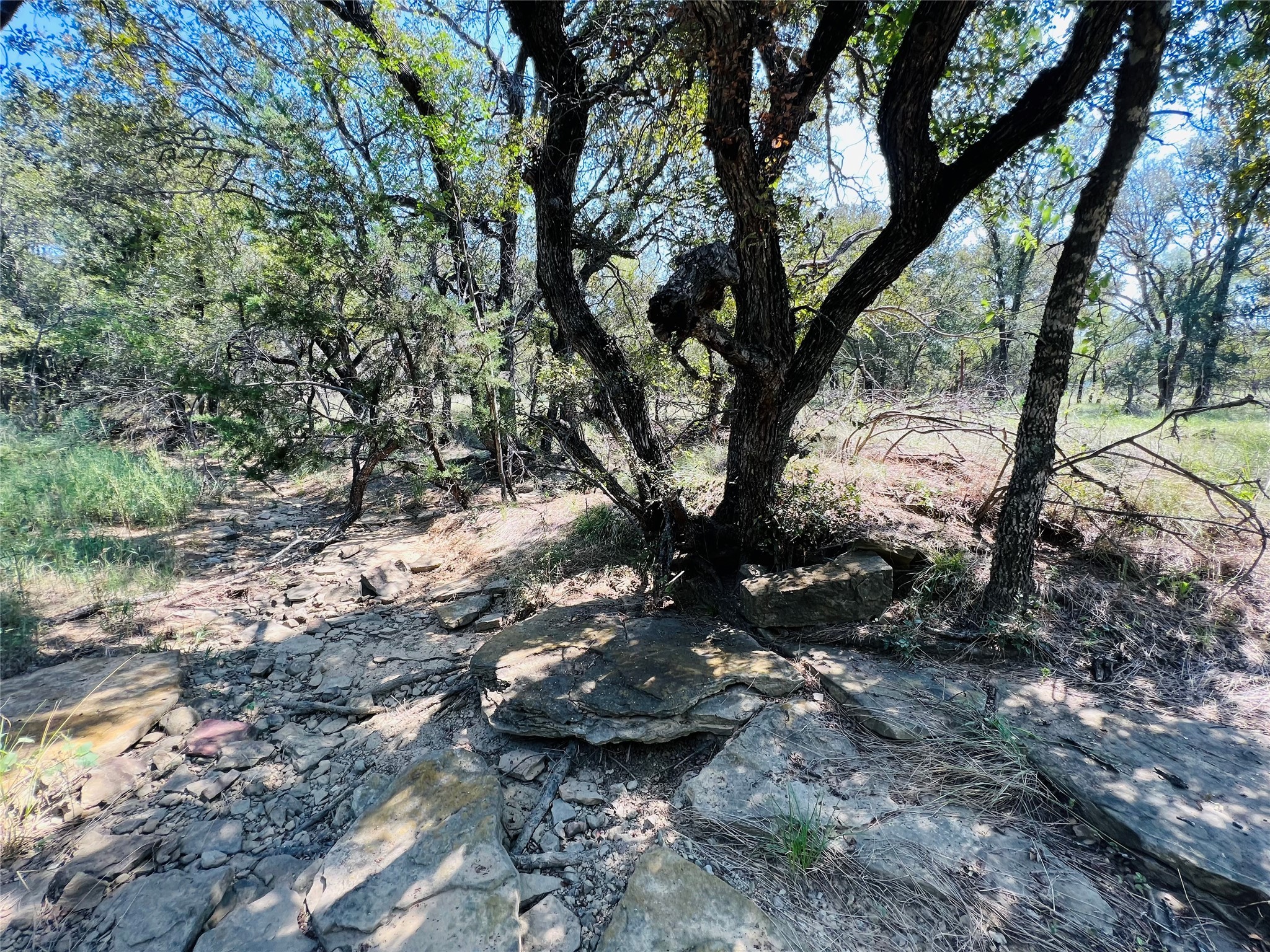 20 Ih Santo TX 76472