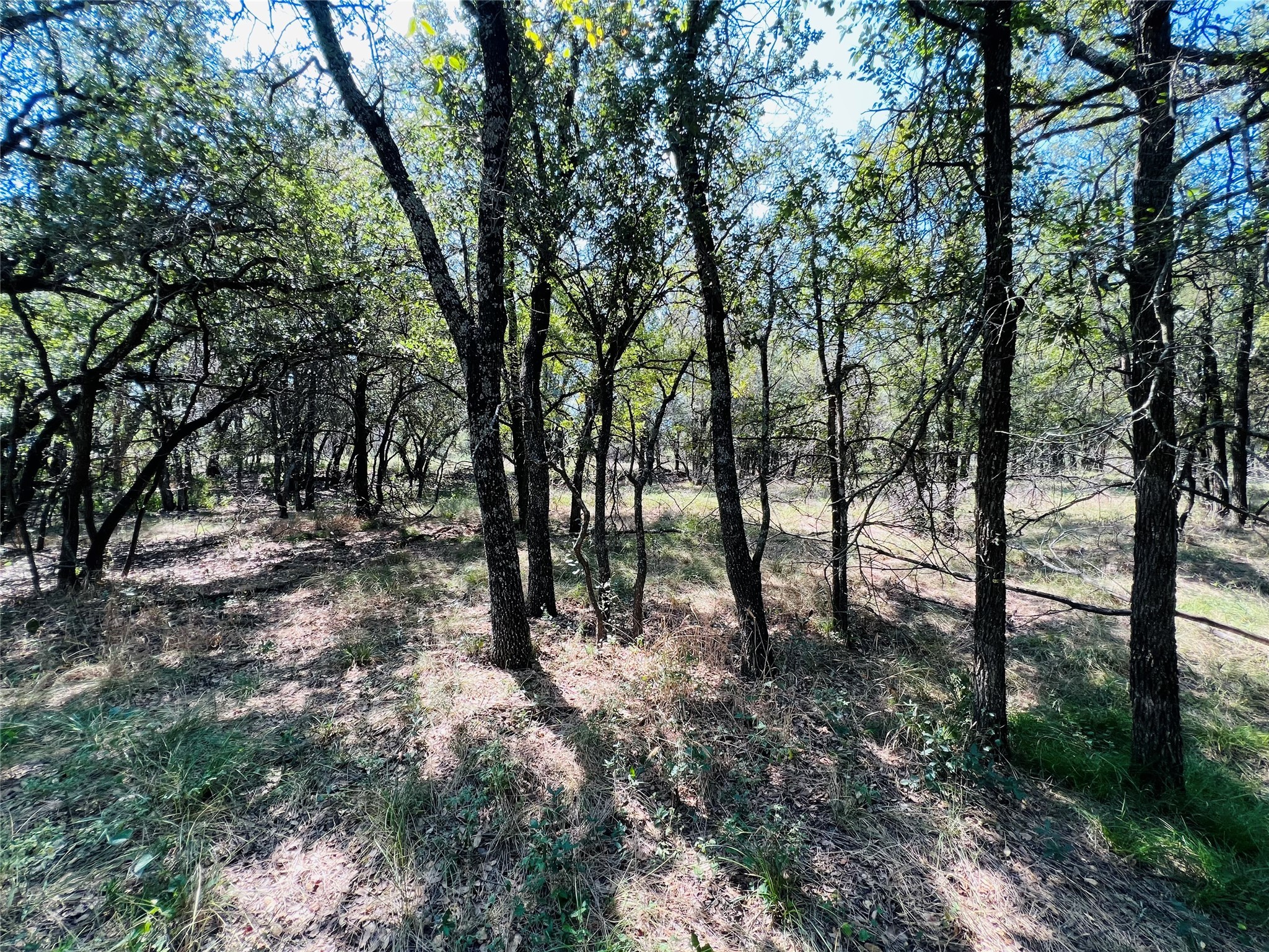 20 Ih Santo TX 76472