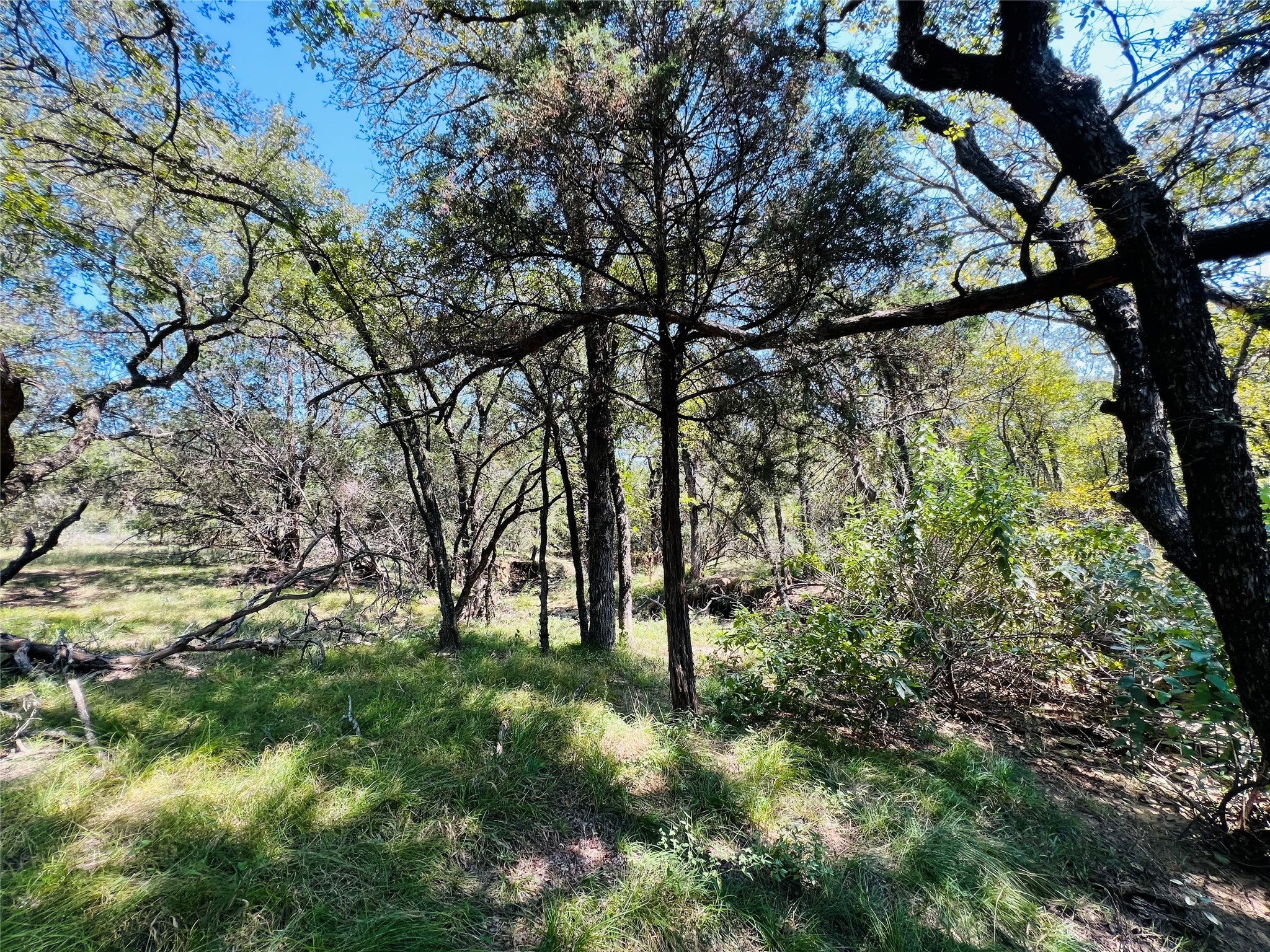 20 Ih Santo TX 76472