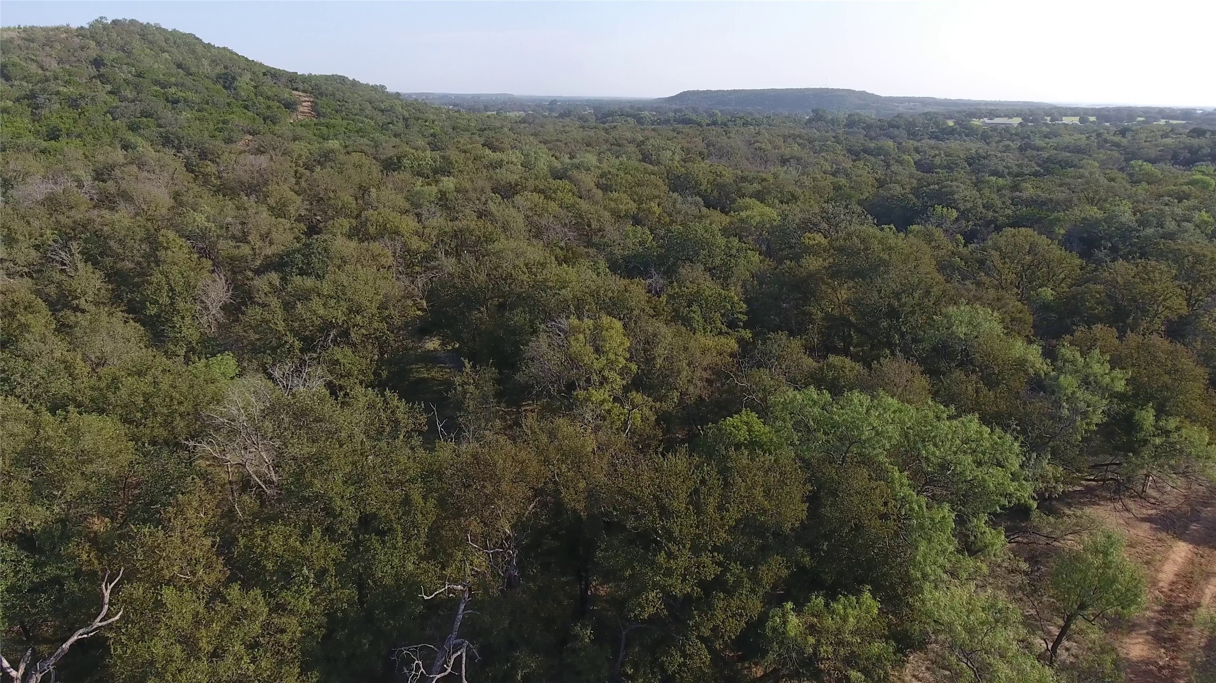 20 Ih Santo TX 76472