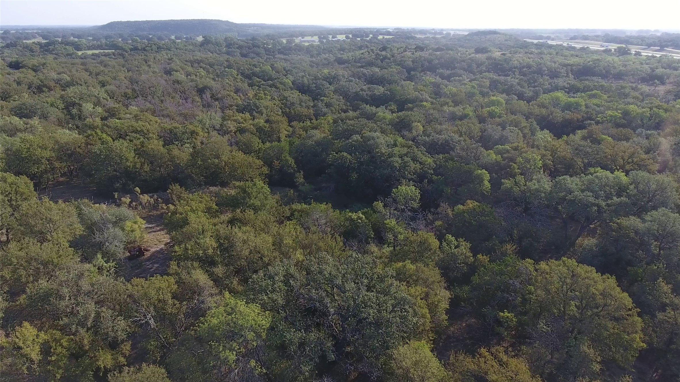 20 Ih Santo TX 76472