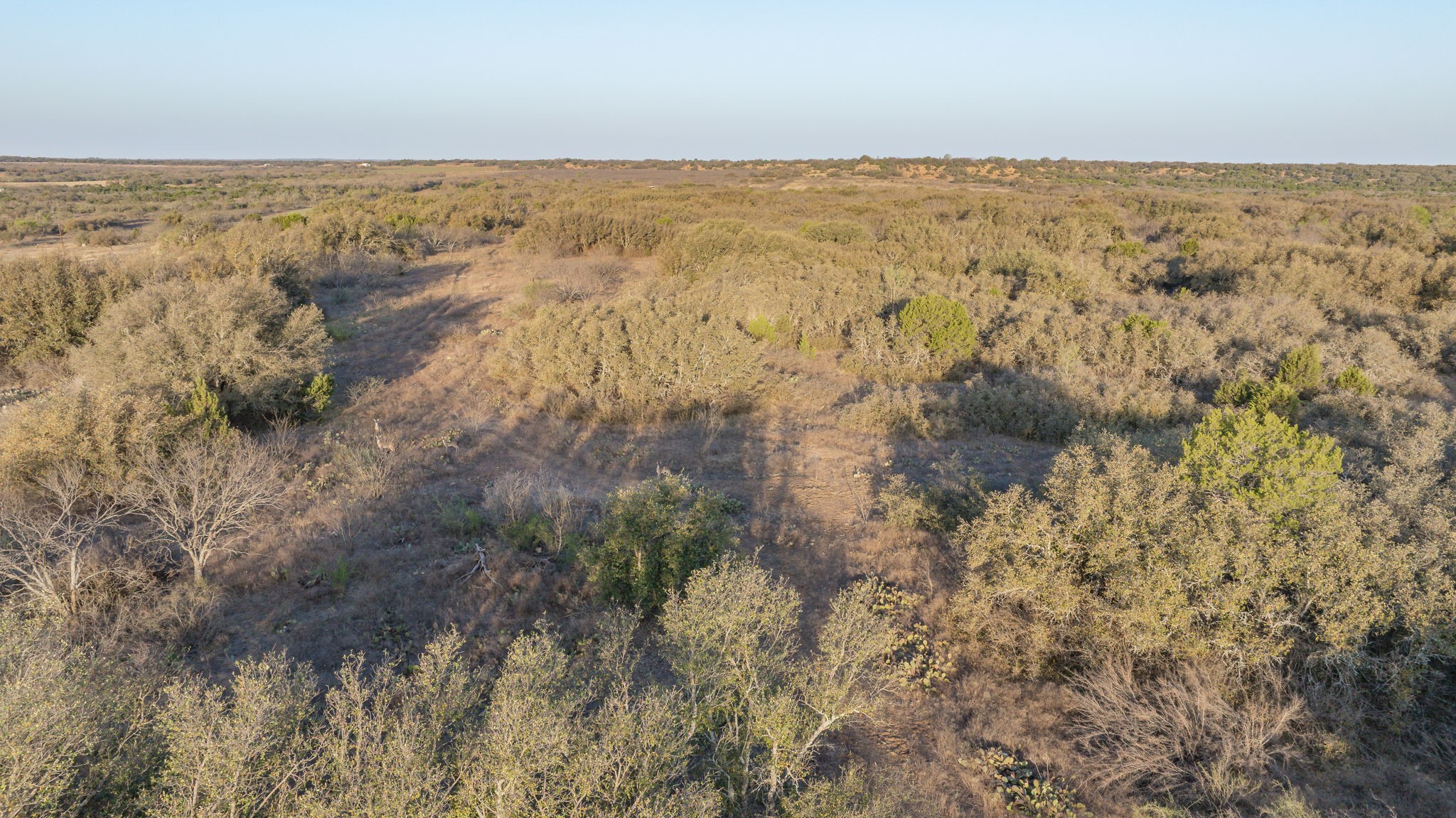 5324 Fm 568 Santa Anna TX 76878