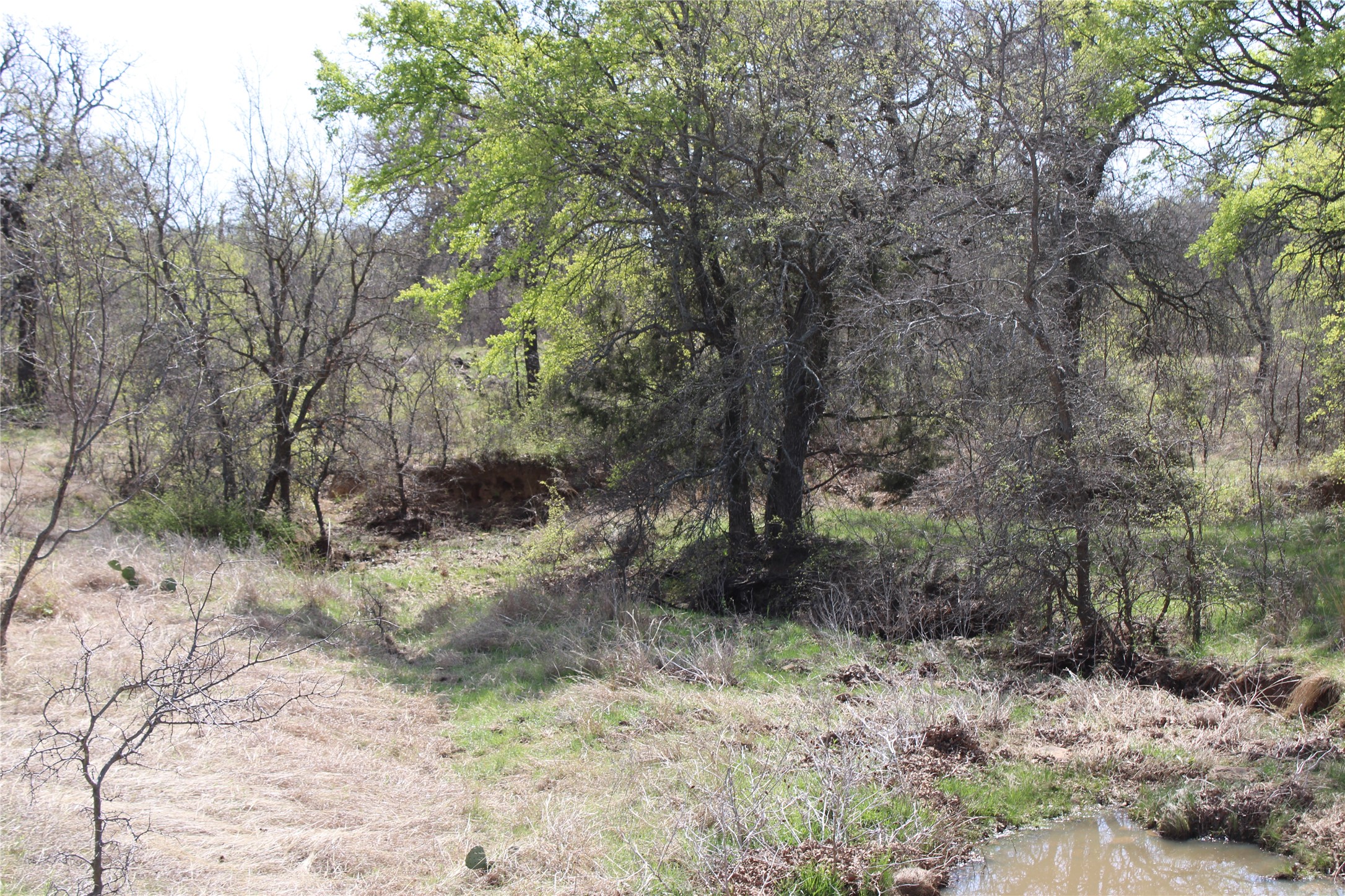 21 Ac Erwin Perrin TX 78486