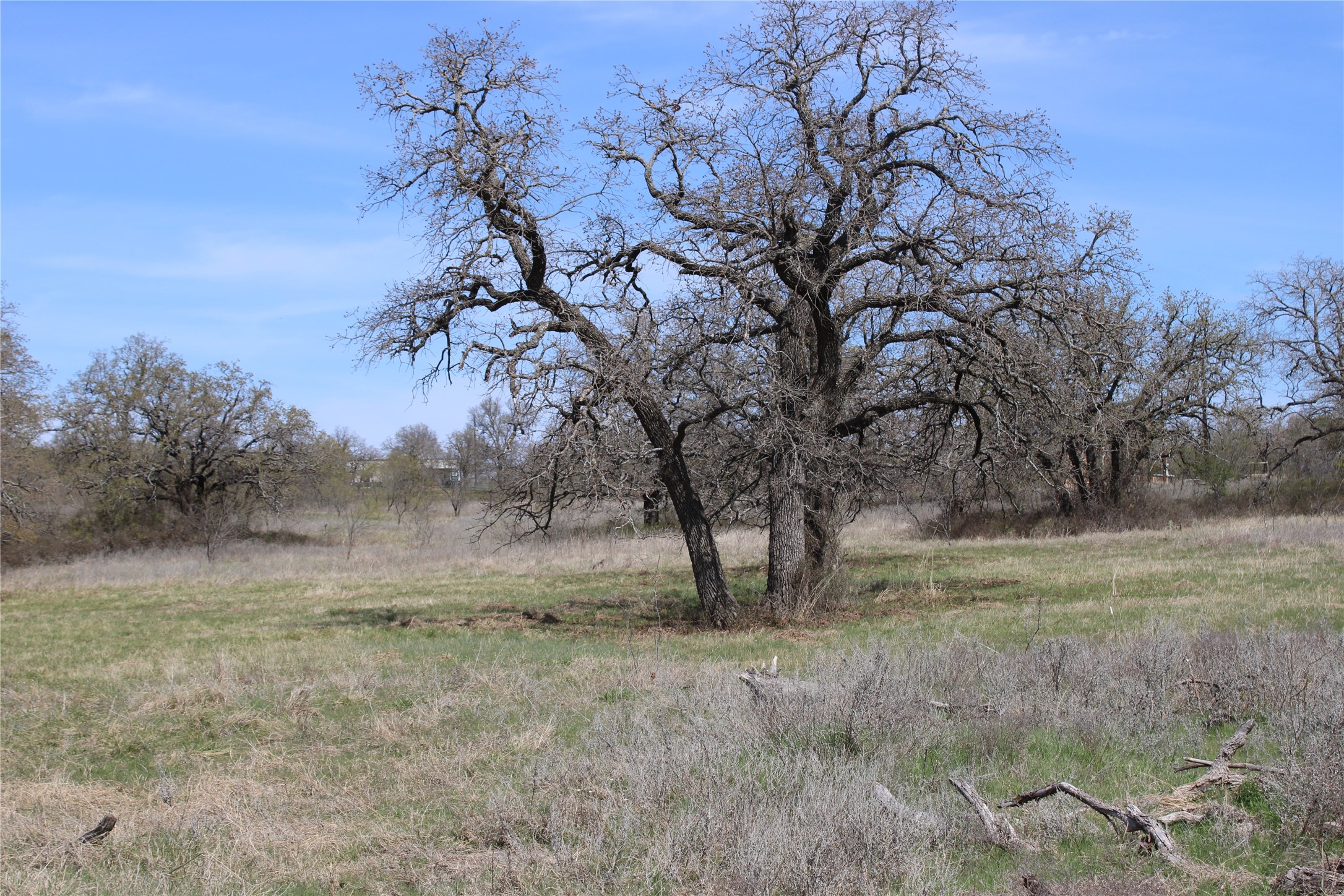 21 Ac Erwin Perrin TX 78486