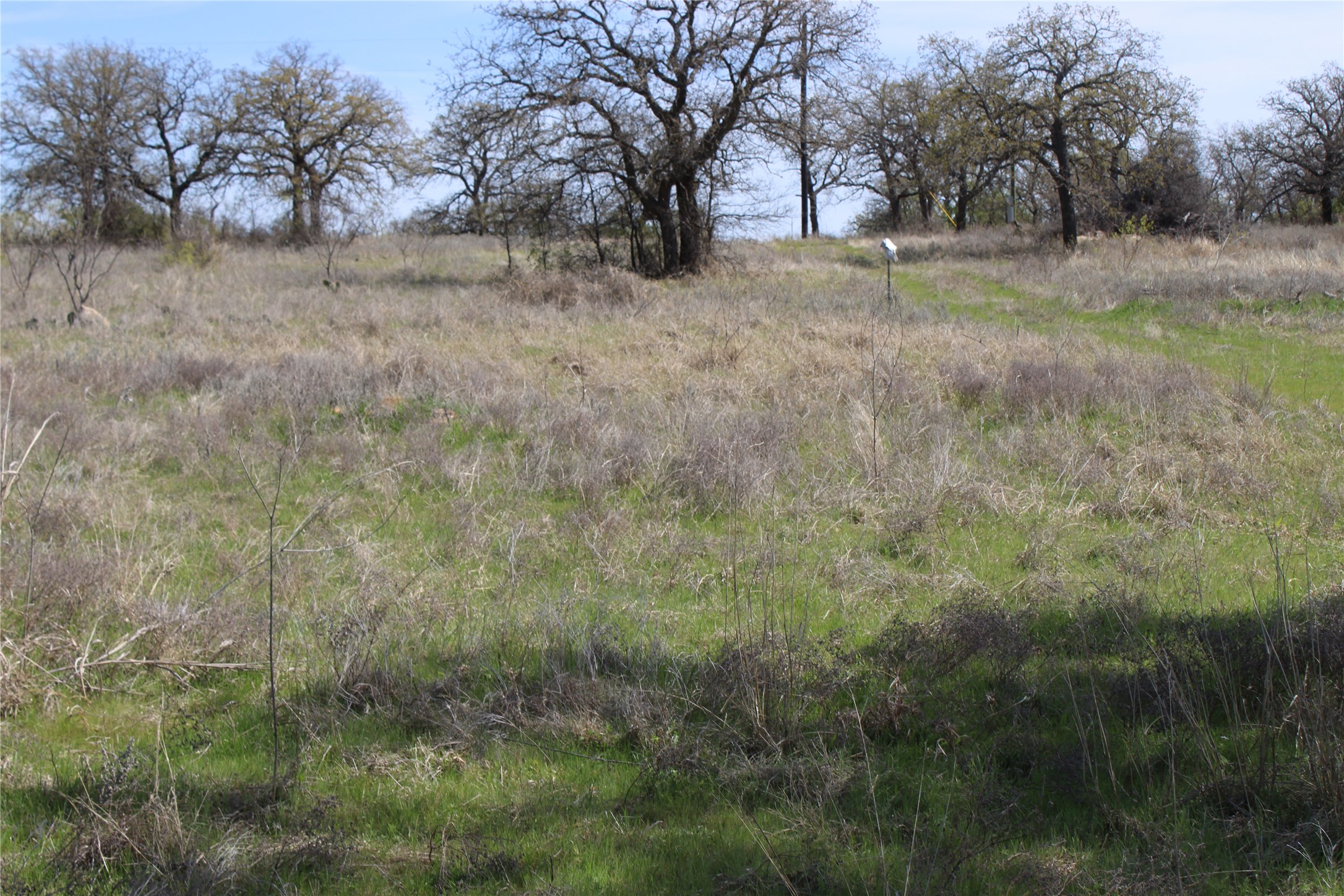21 Ac Erwin Perrin TX 78486