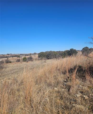 120 Blue Heron Court Comanche TX 76442