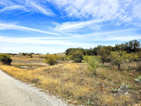 120 Blue Heron Court Comanche TX 76442
