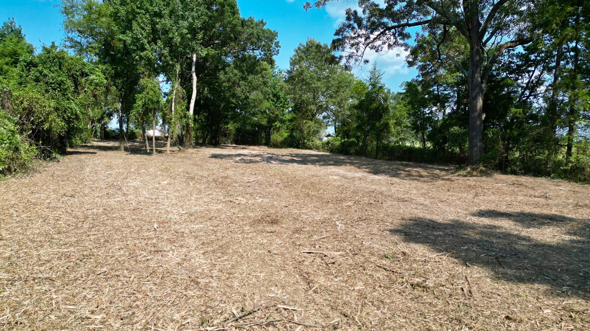 Tbd County Road 3211 Pittsburg TX 75686