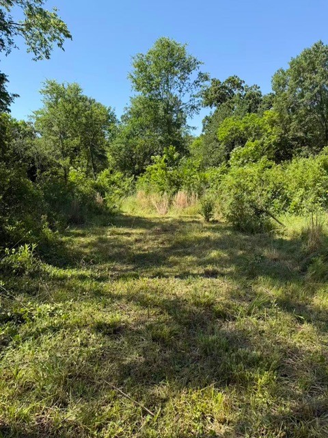 0 Forrester Street Greenville TX 75401