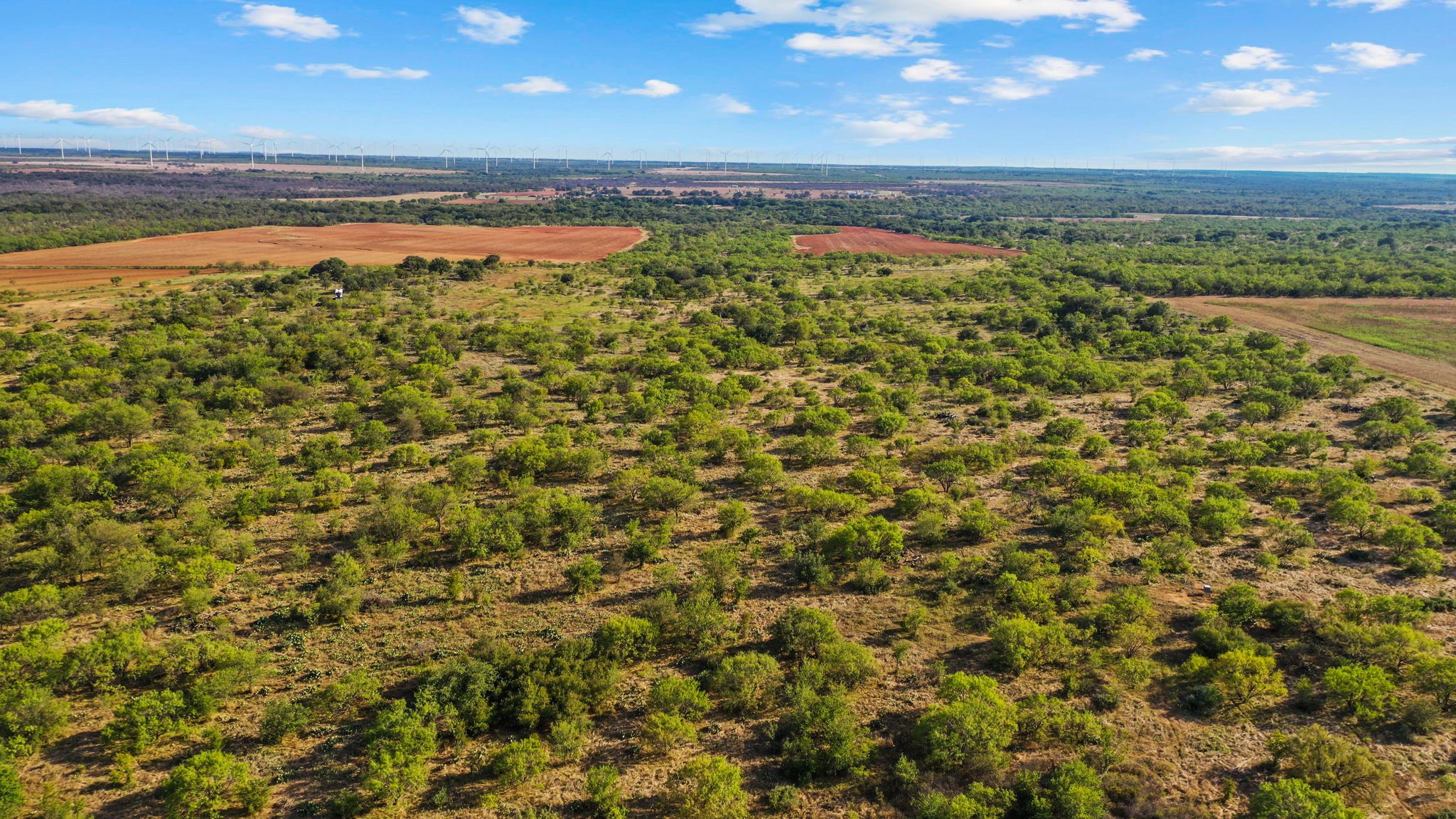000 Proffitt Road Newcastle TX 76372
