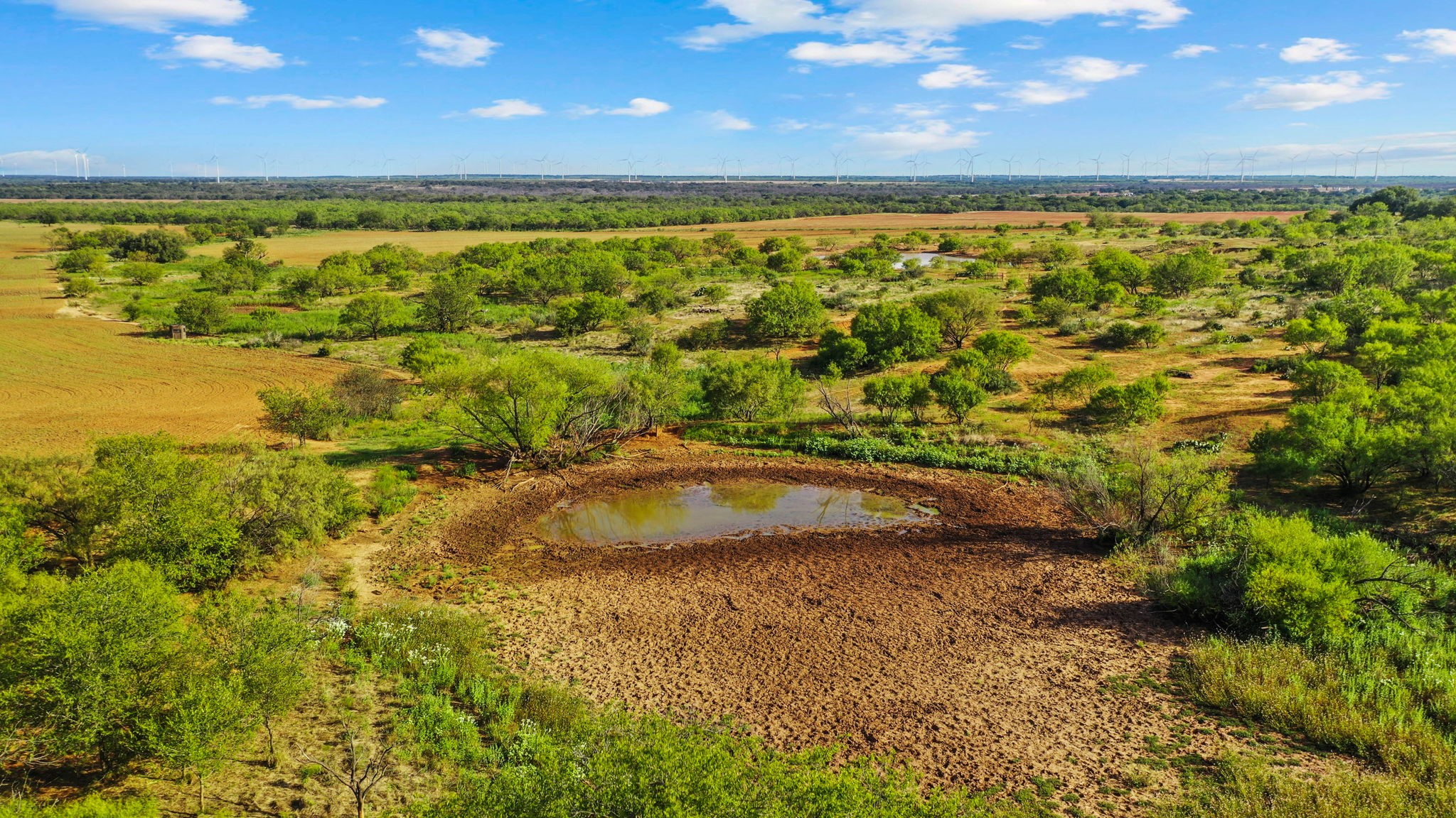 000 Proffitt Road Newcastle TX 76372
