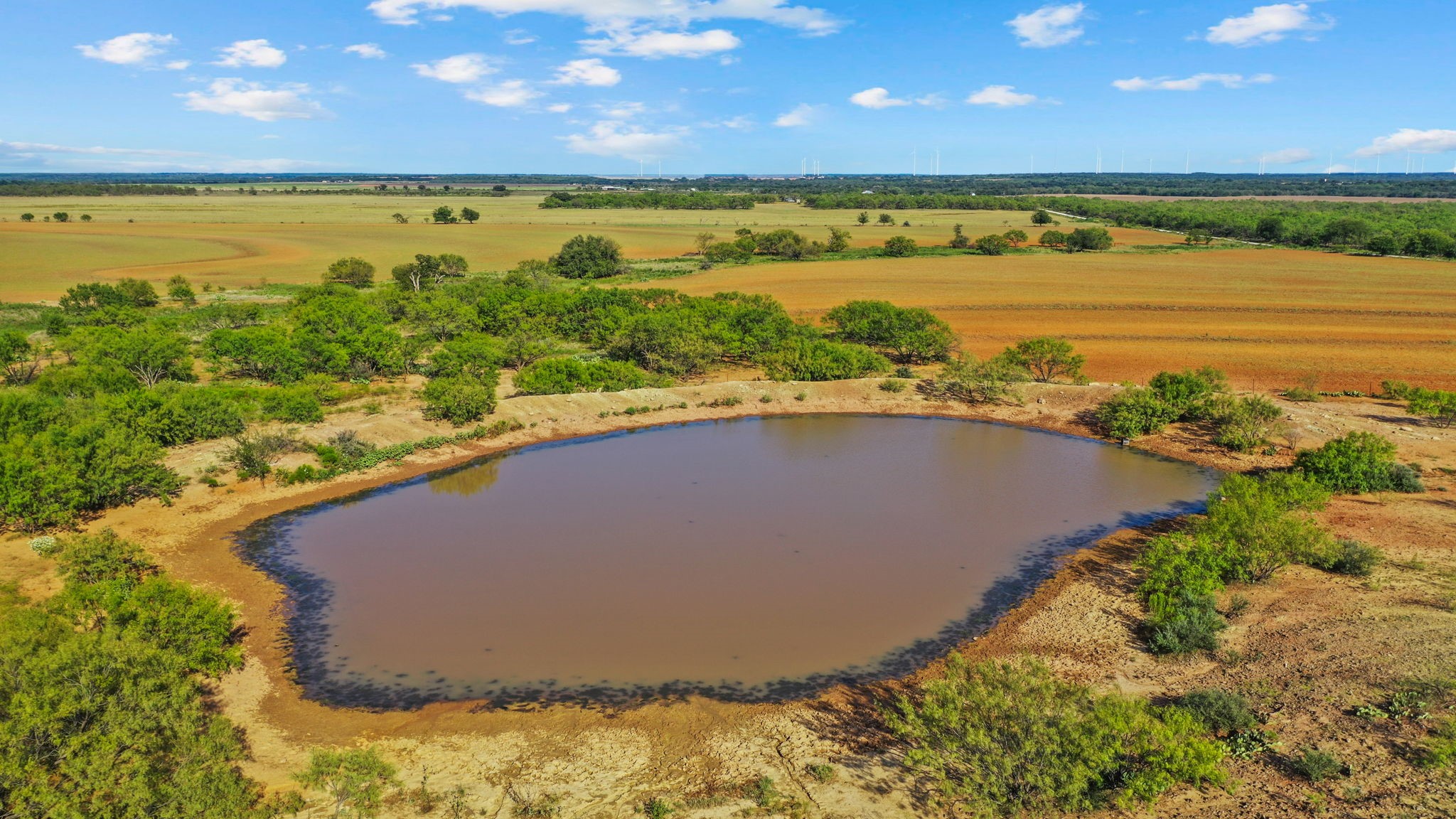 000 Proffitt Road Newcastle TX 76372