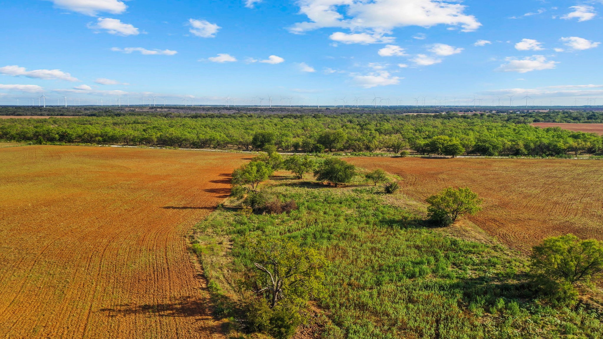 000 Proffitt Road Newcastle TX 76372