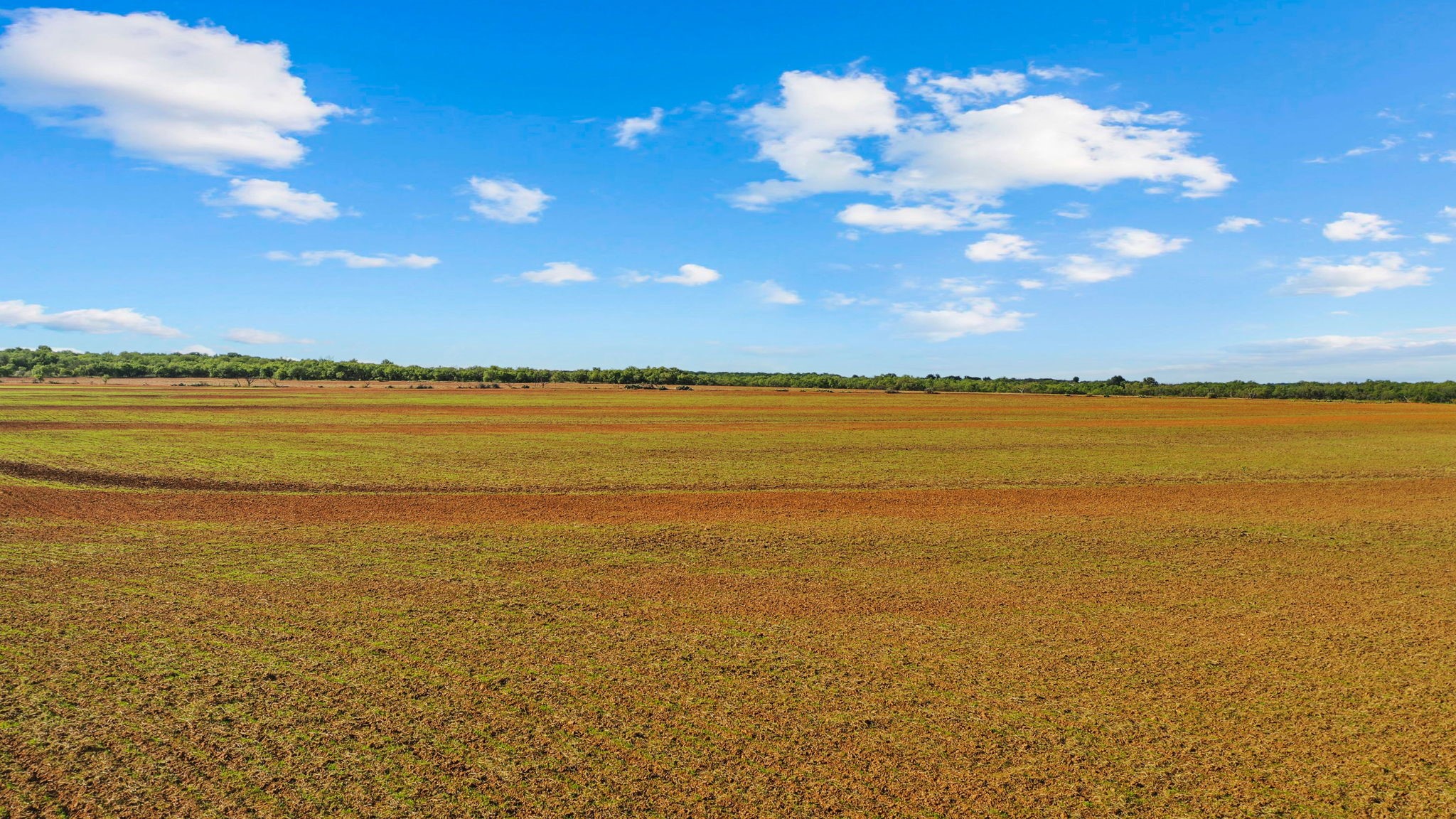 000 Proffitt Road Newcastle TX 76372