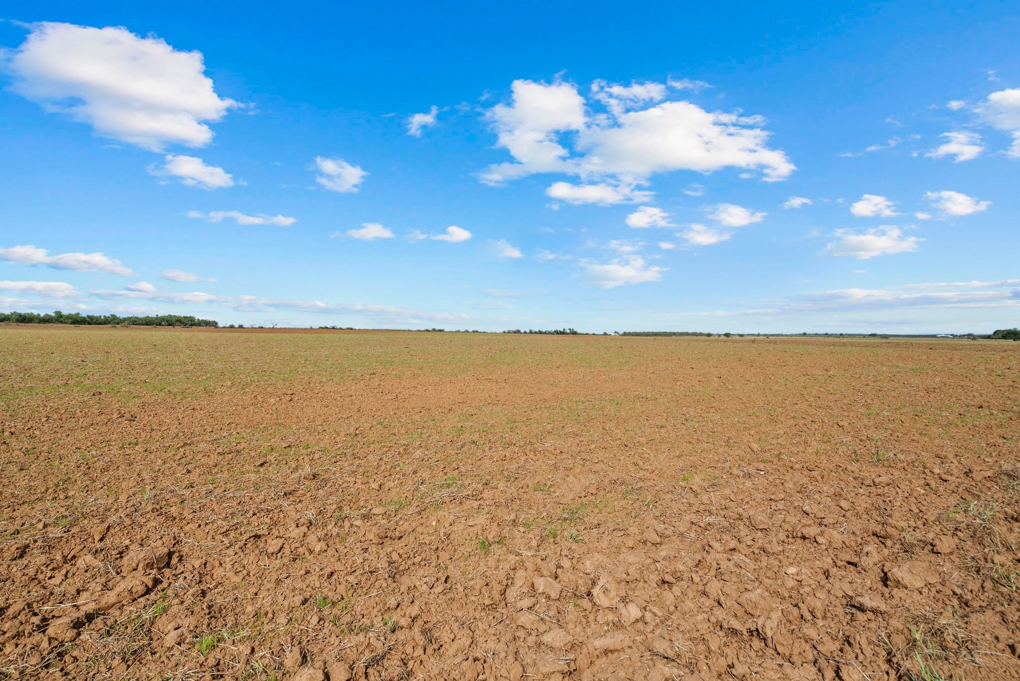 000 Proffitt Road Newcastle TX 76372