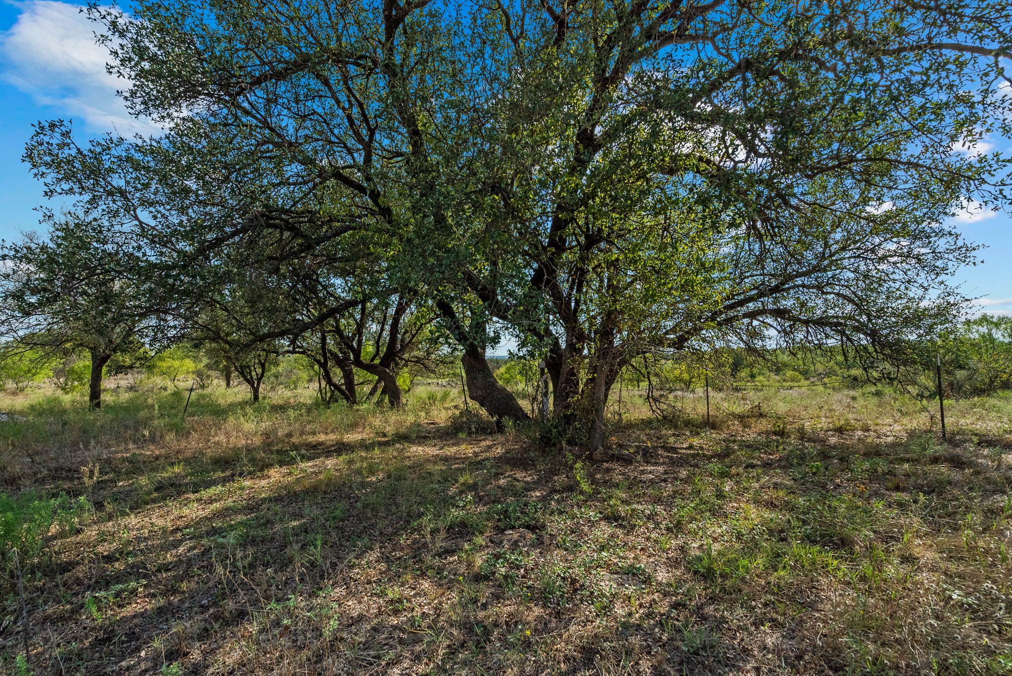 000 Proffitt Road Newcastle TX 76372