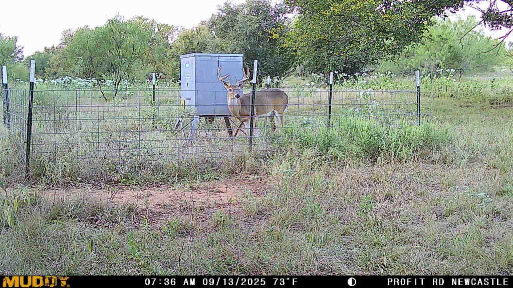 000 Proffitt Road Newcastle TX 76372